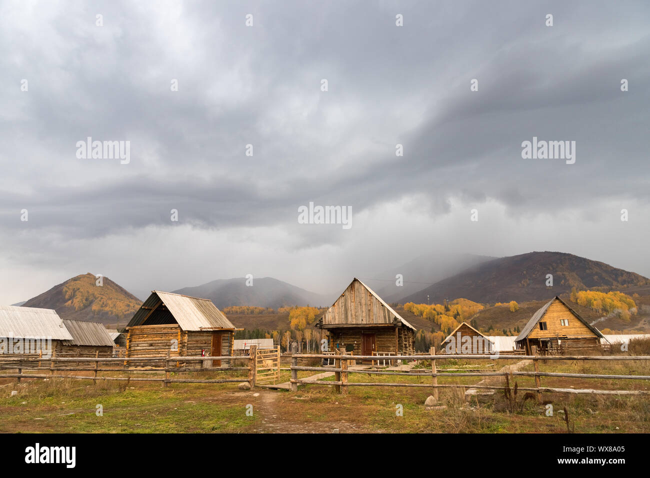 xinjiang log cabin in autumn Stock Photo