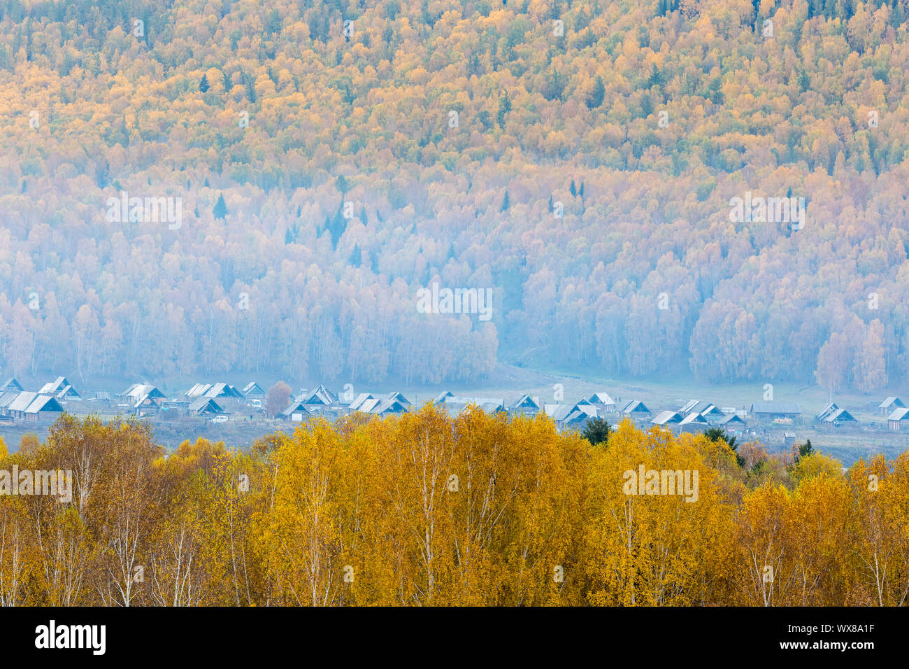 hemu village in the forest in autumn Stock Photo
