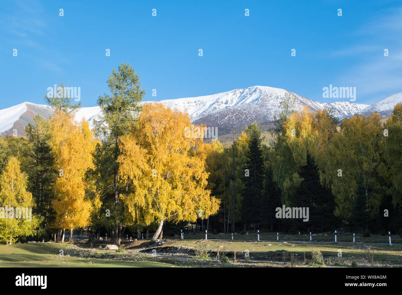 the natural beauty of autumn in Kanas Stock Photo