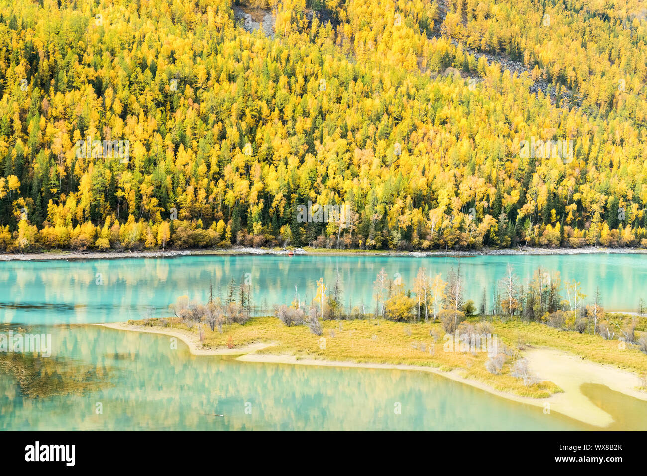 colorful kanas autumn landscape Stock Photo