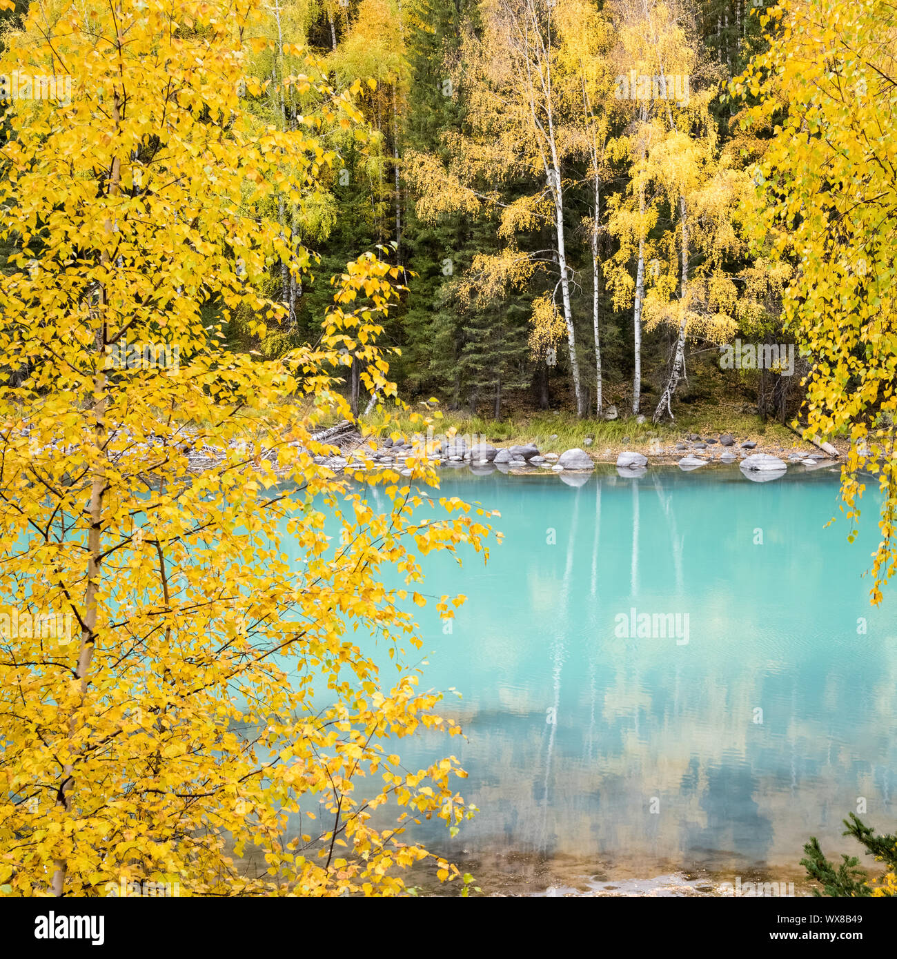 beautiful autumn landscape in kanas Stock Photo