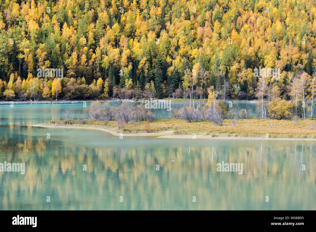 colorful autumn forest and river Stock Photo