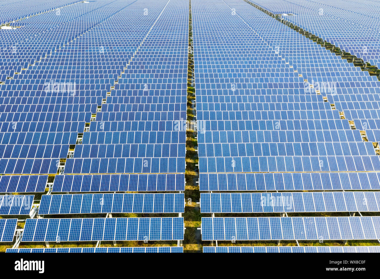 arrays of blue solar panels Stock Photo