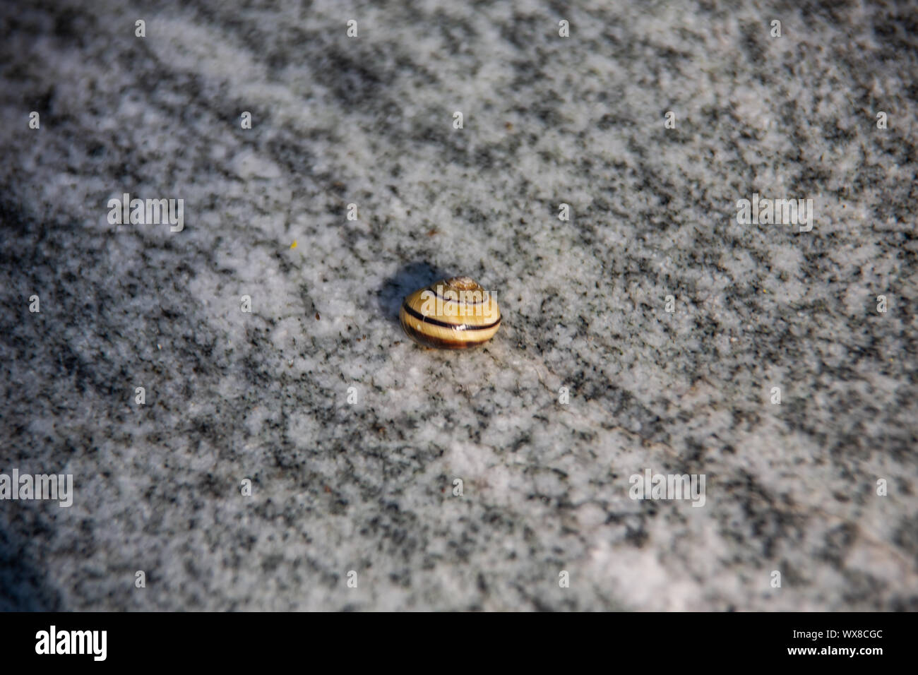 Grove Granite Stock Photos Grove Granite Stock Images Alamy