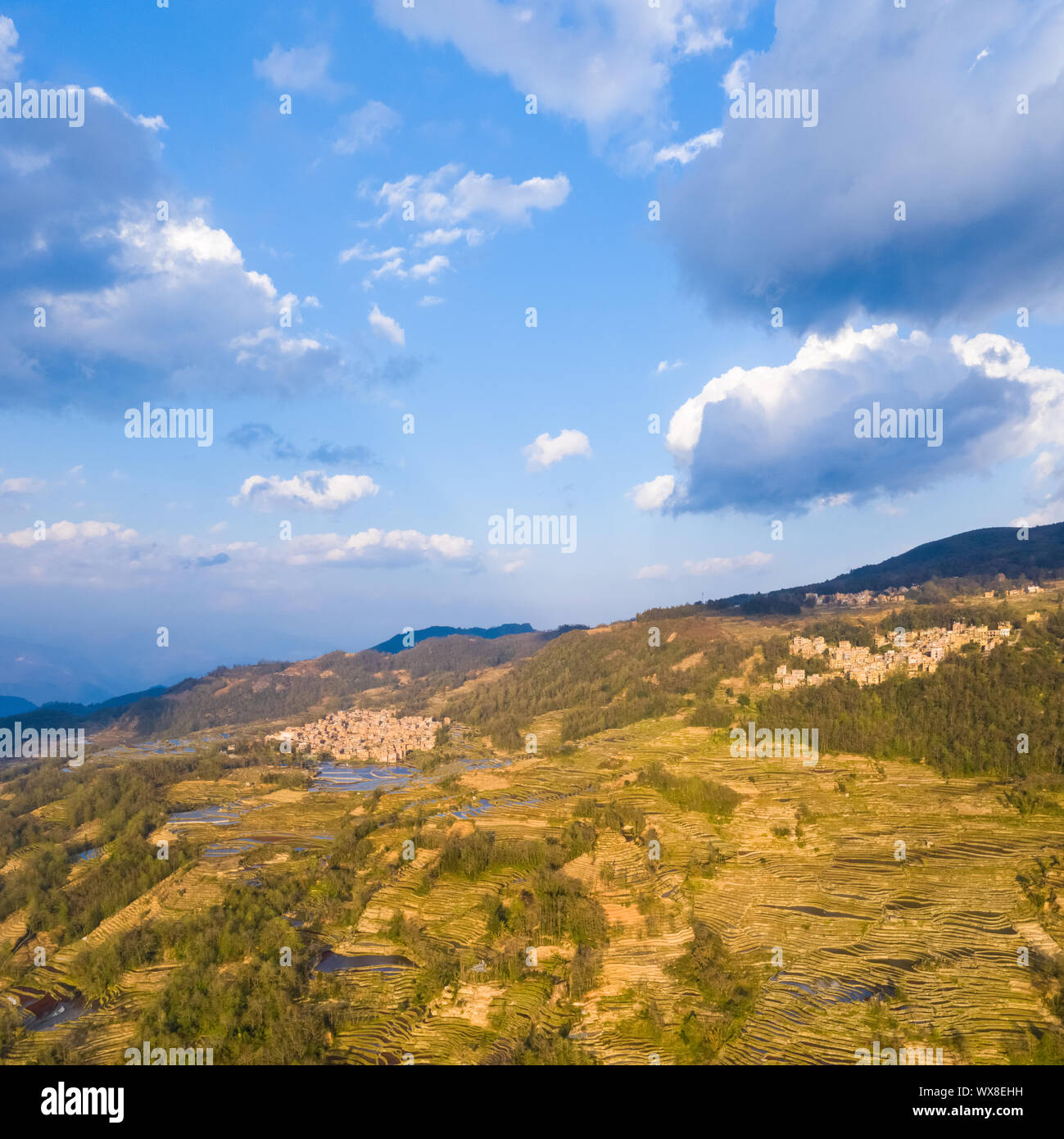 aerial view of beautiful terraced field landscape Stock Photo