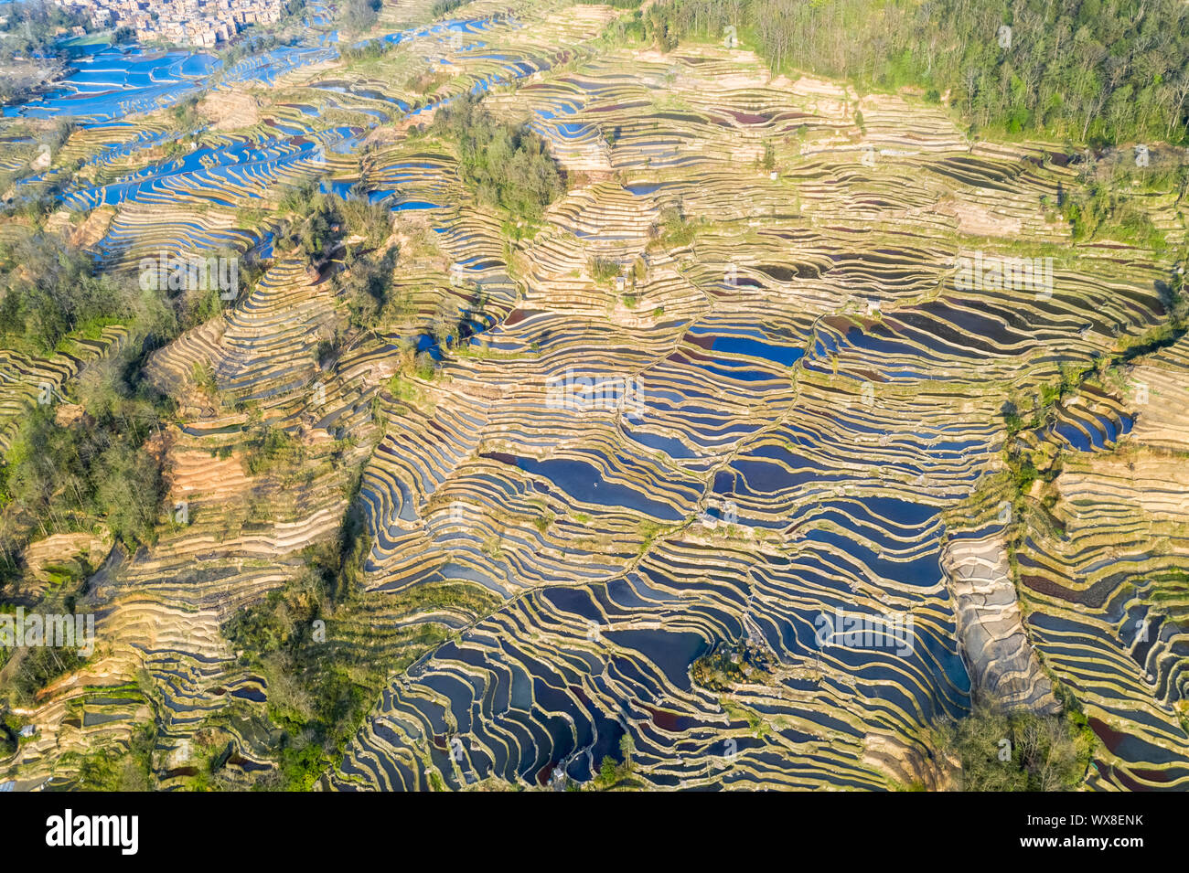 aerial view of beautiful terraced fields Stock Photo