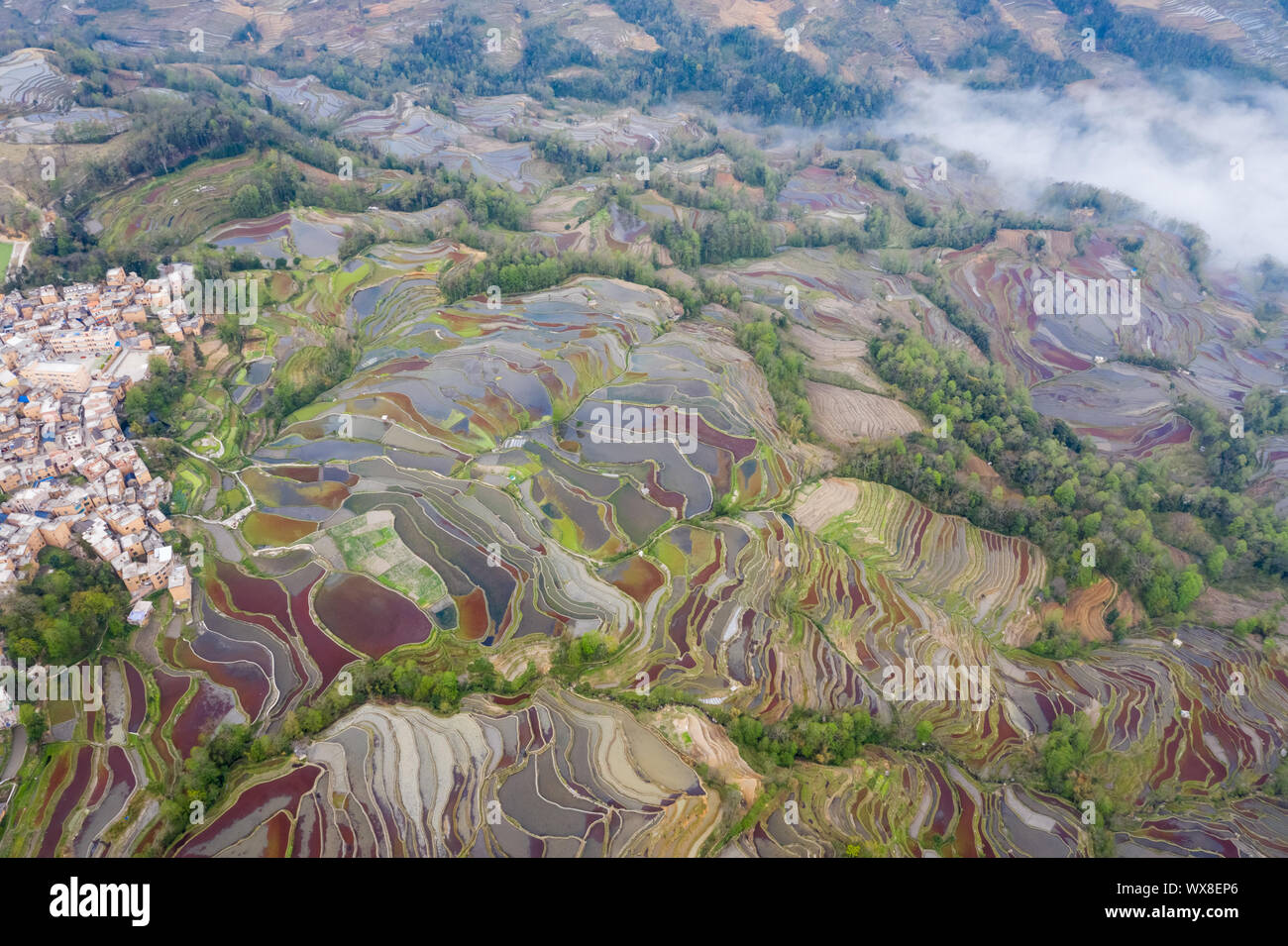 aerial view of terraced fields in valley Stock Photo