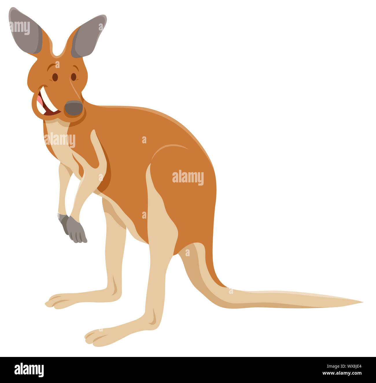 funny kangaroo cartoon animal character Stock Photo - Alamy