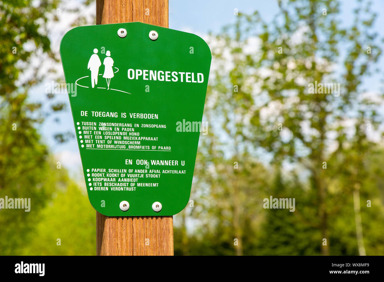 Green traffic sign for hikers in forest Stock Photo