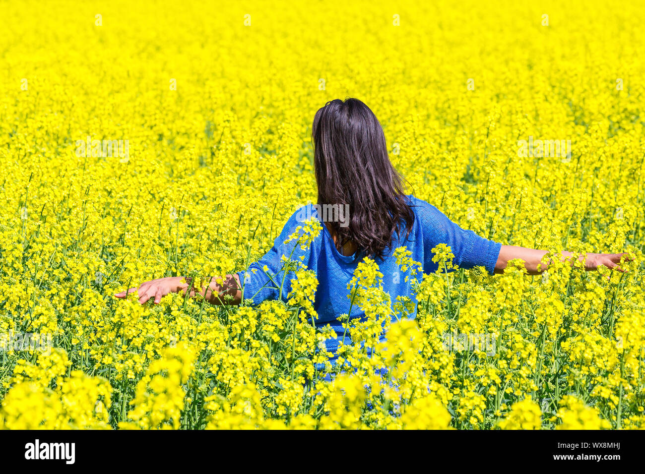 Woman walks in flourishing yellow rapeseed field Stock Photo - Alamy