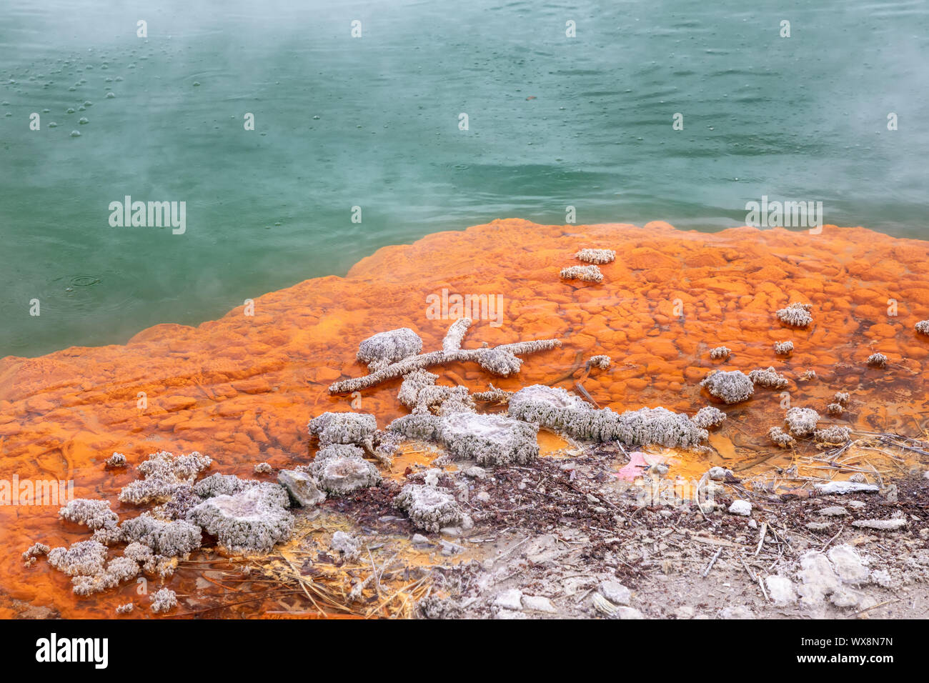 hot sparkling lake in New Zealand Stock Photo