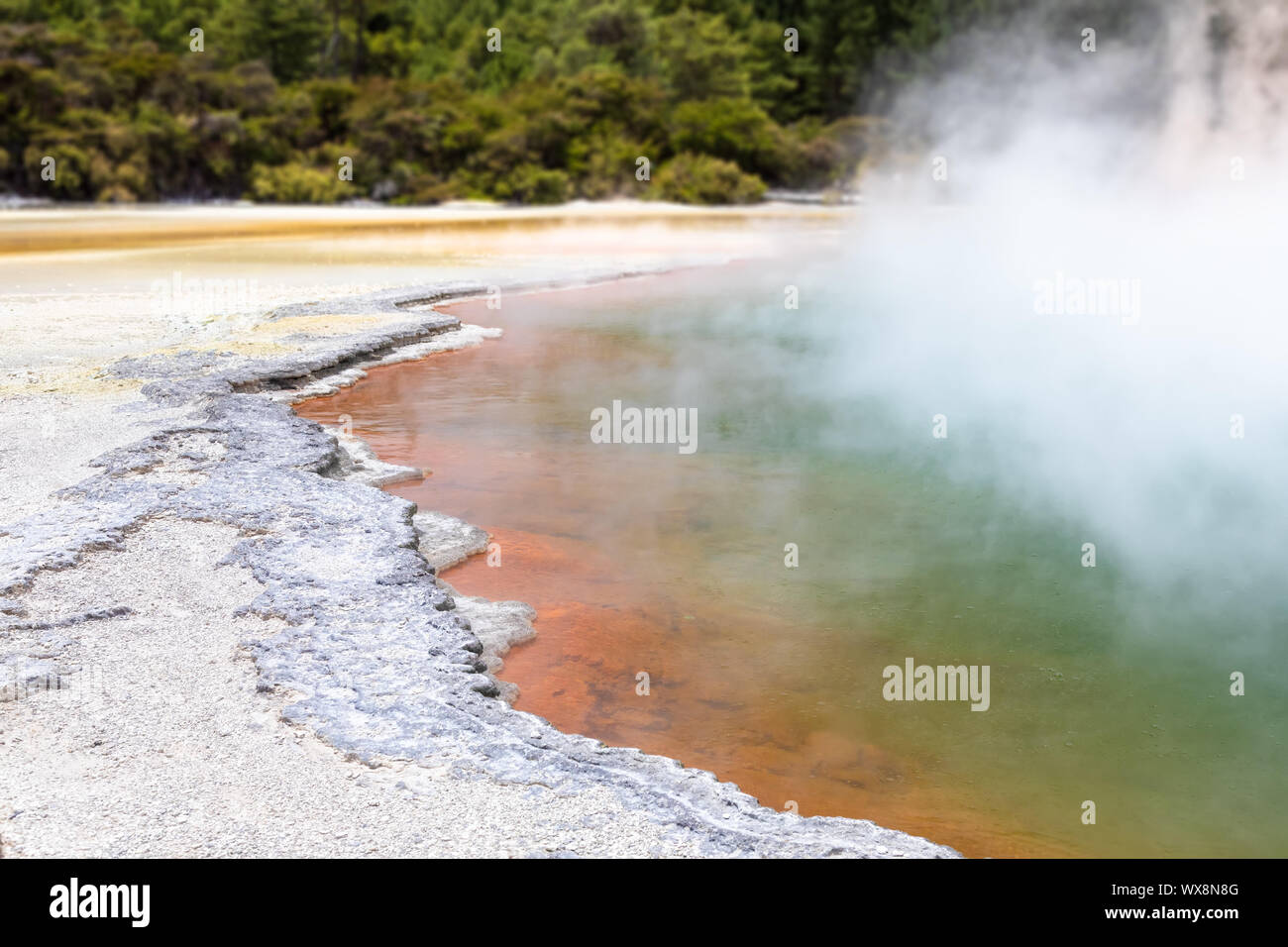 hot sparkling lake in New Zealand Stock Photo