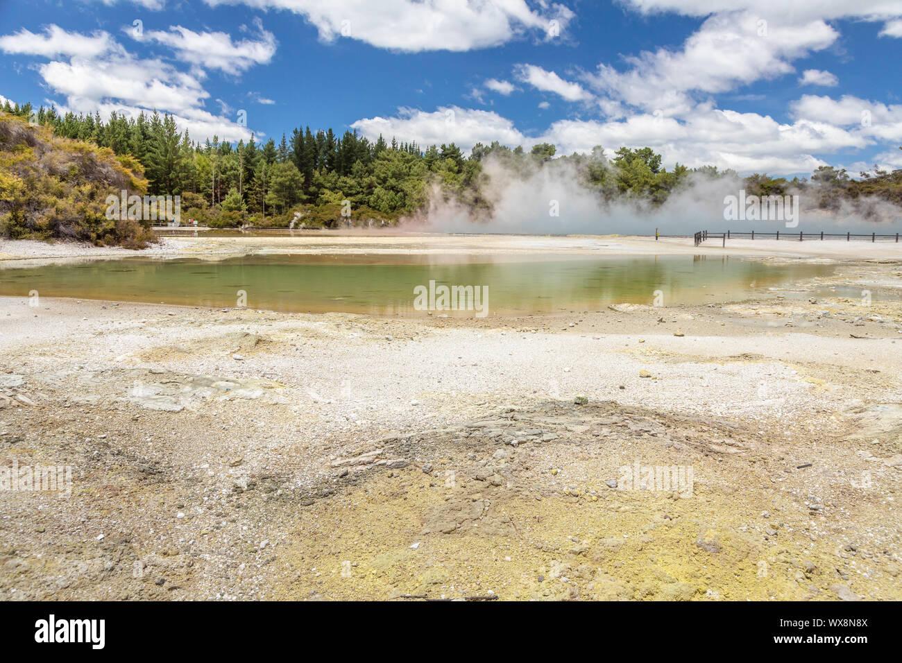 geothermal activity at Rotorua in New Zealand Stock Photo - Alamy