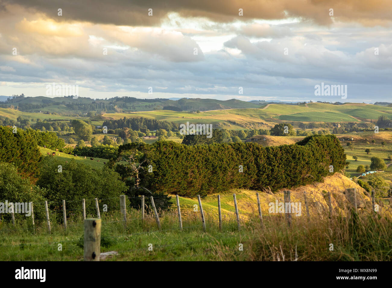 Typical of grass hi-res stock photography and images - Alamy