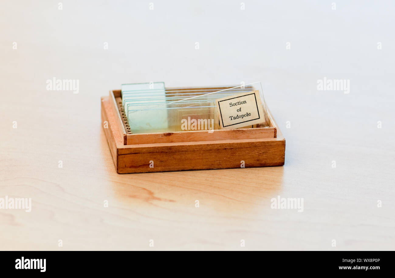 Microscope utensils in a box on the floor Stock Photo - Alamy