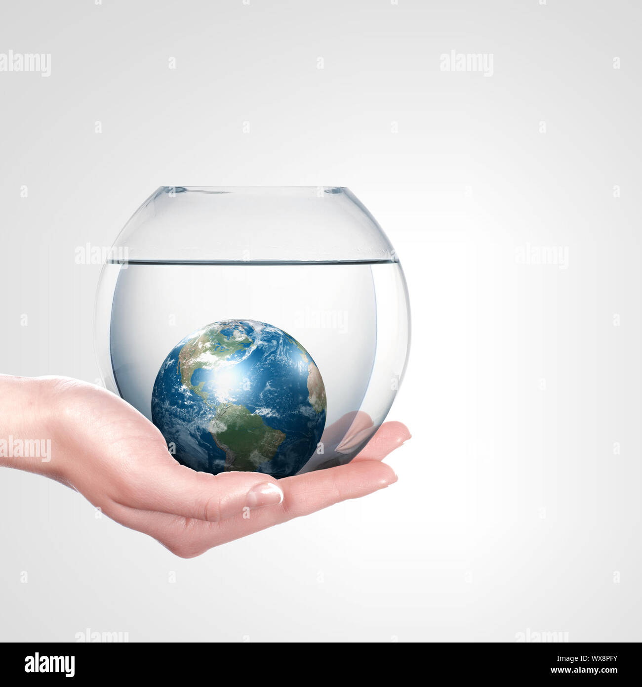 98b749ac-cc87-44e5-99d6-0e4277146e9b Stock Photo