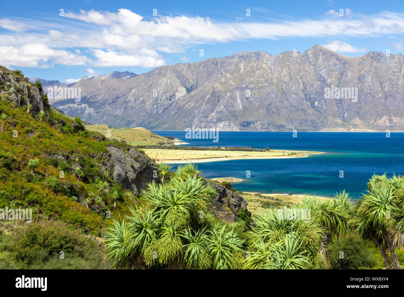 lake Wanaka; New Zealand south island Stock Photo - Alamy