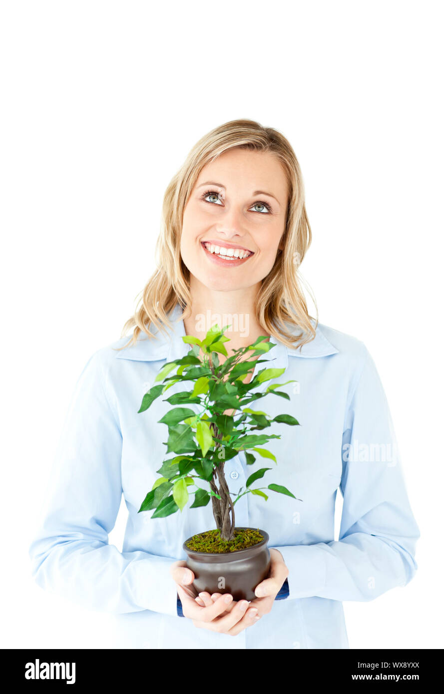 Portrait of a delighted businesswoman holding a plant againt a white ...