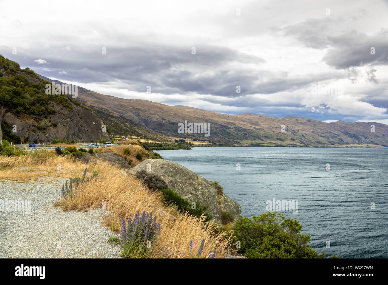 lake Wakatipu in south New Zealand Stock Photo - Alamy