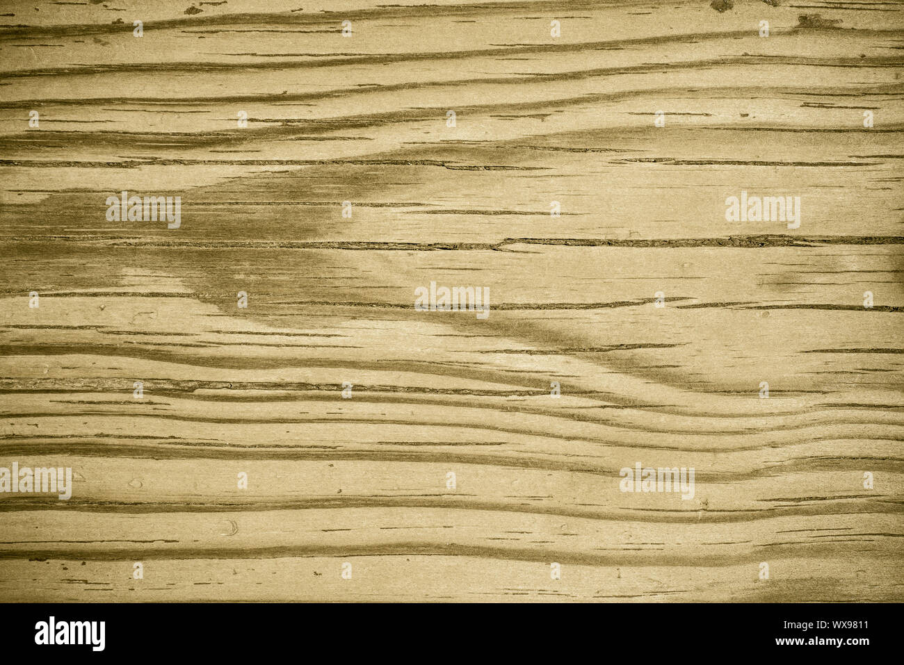 Old wood texture background, perfect natural pattern. Stock Photo