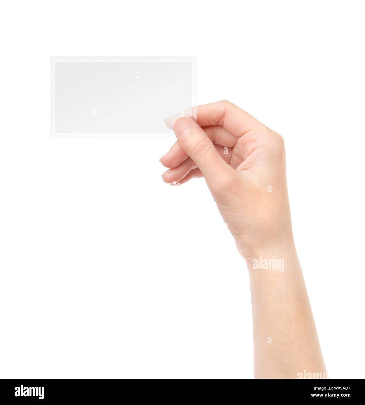 Female hand holding blank transparent business card in hand. Isolated