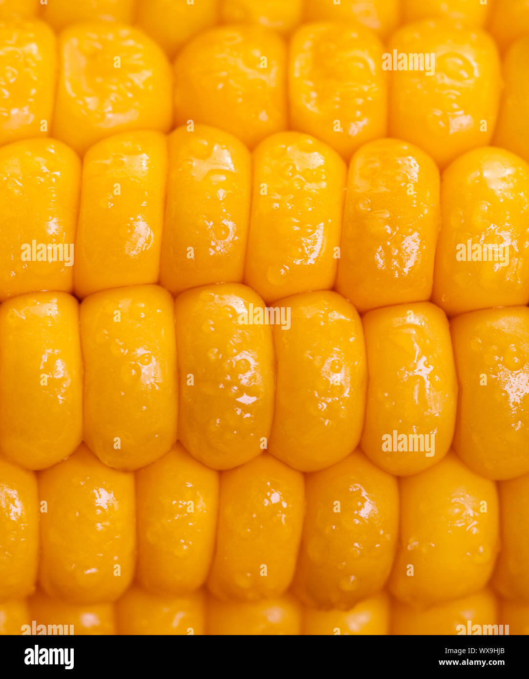 Photo of yellow maize background, tasty boiled corn with salt, healthy