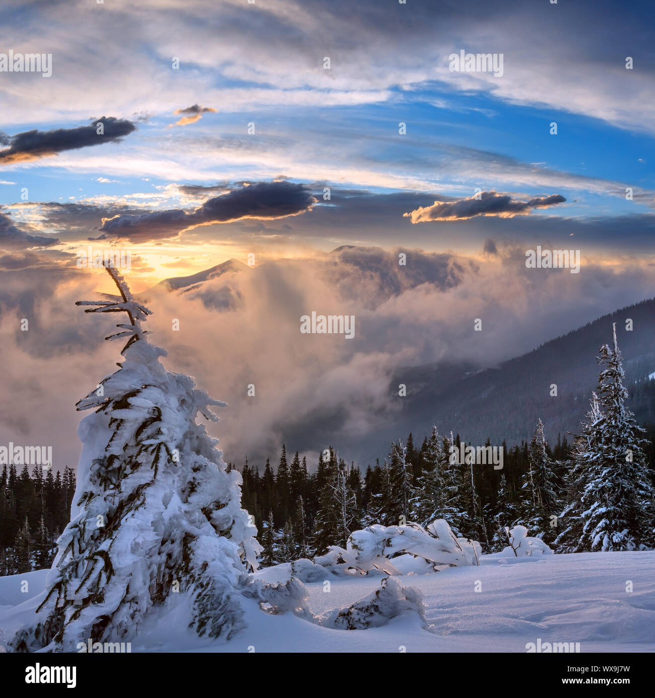 Sunset winter mountain landscape, Carpathian Stock Photo
