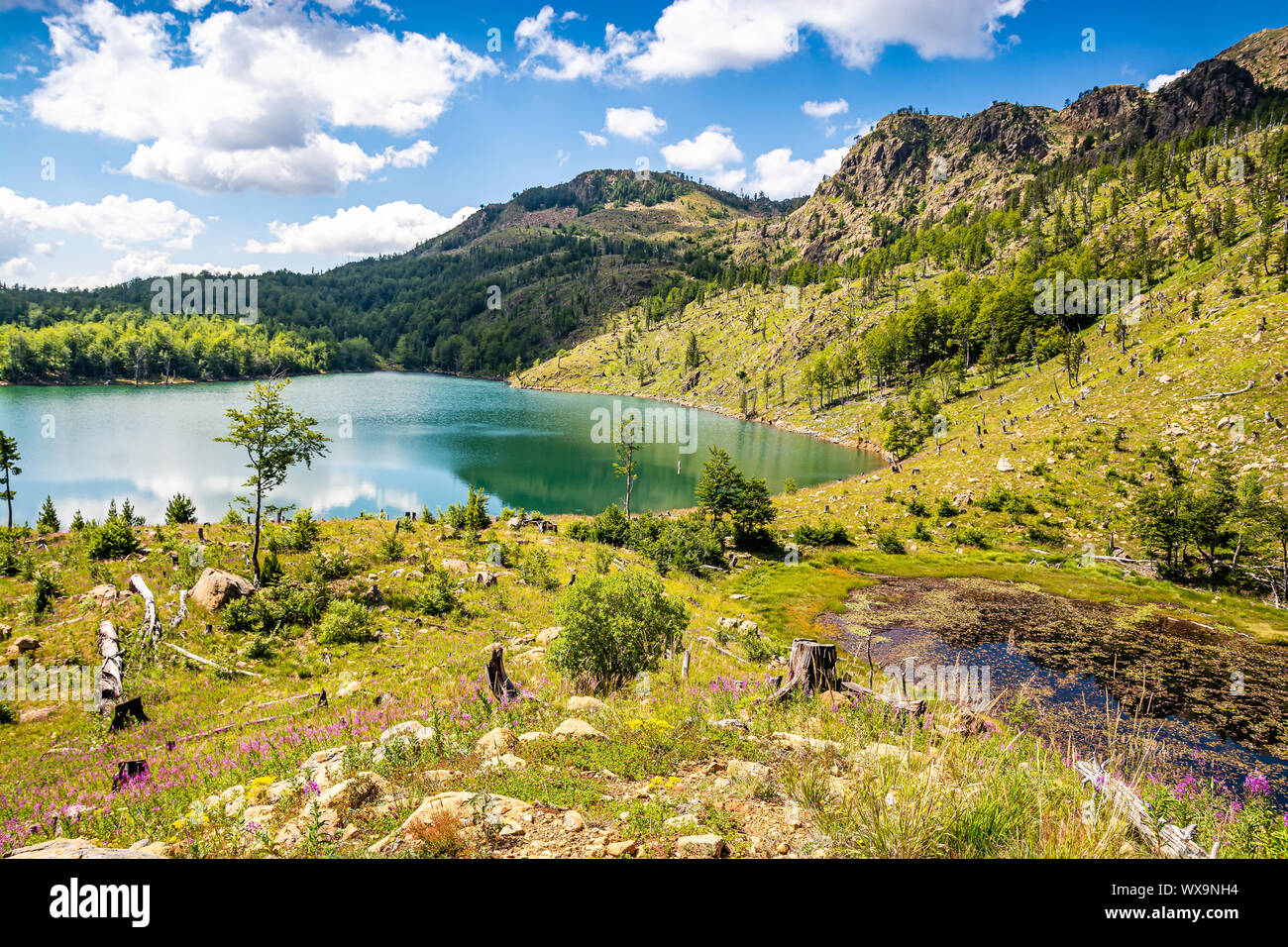 Lake Madh in National Park Lure, Albania Stock Photo