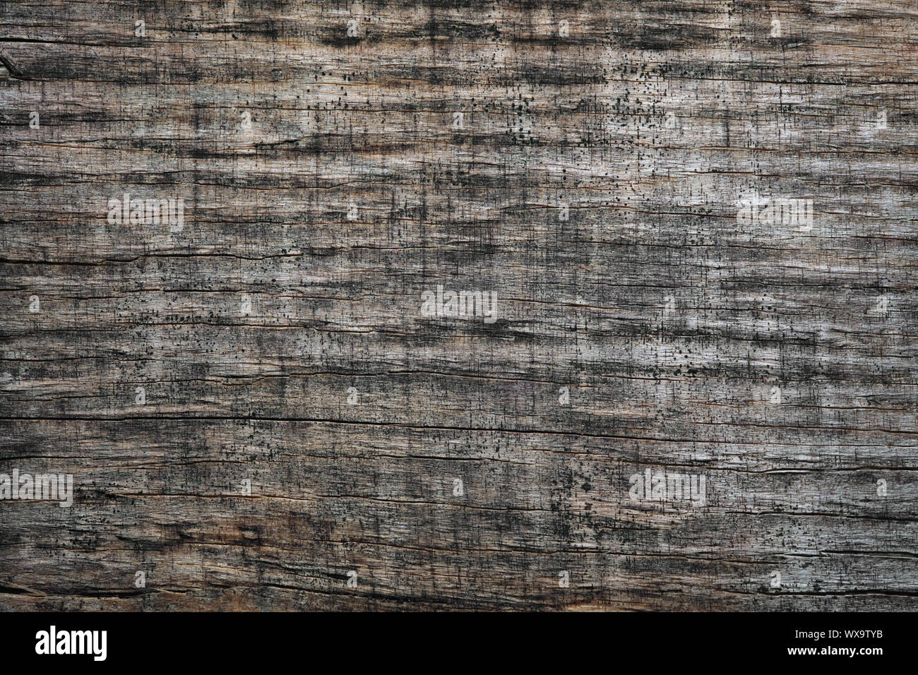 Worn wooden background or texture Stock Photo