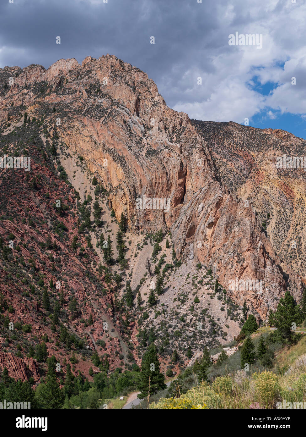 Sheep Creek Canyon Geological Area, Ashley National Forest, Utah Stock