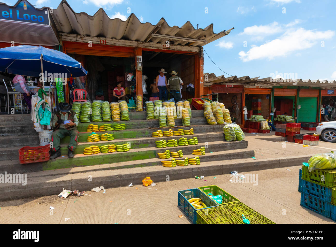 Bogota packaged banana shop in general market of Corabastos Stock Photo