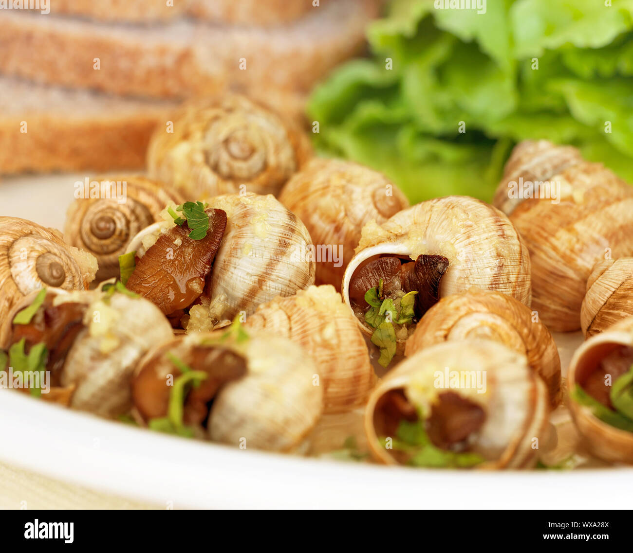 Edible Snails High Resolution Stock Photography and Images Alamy