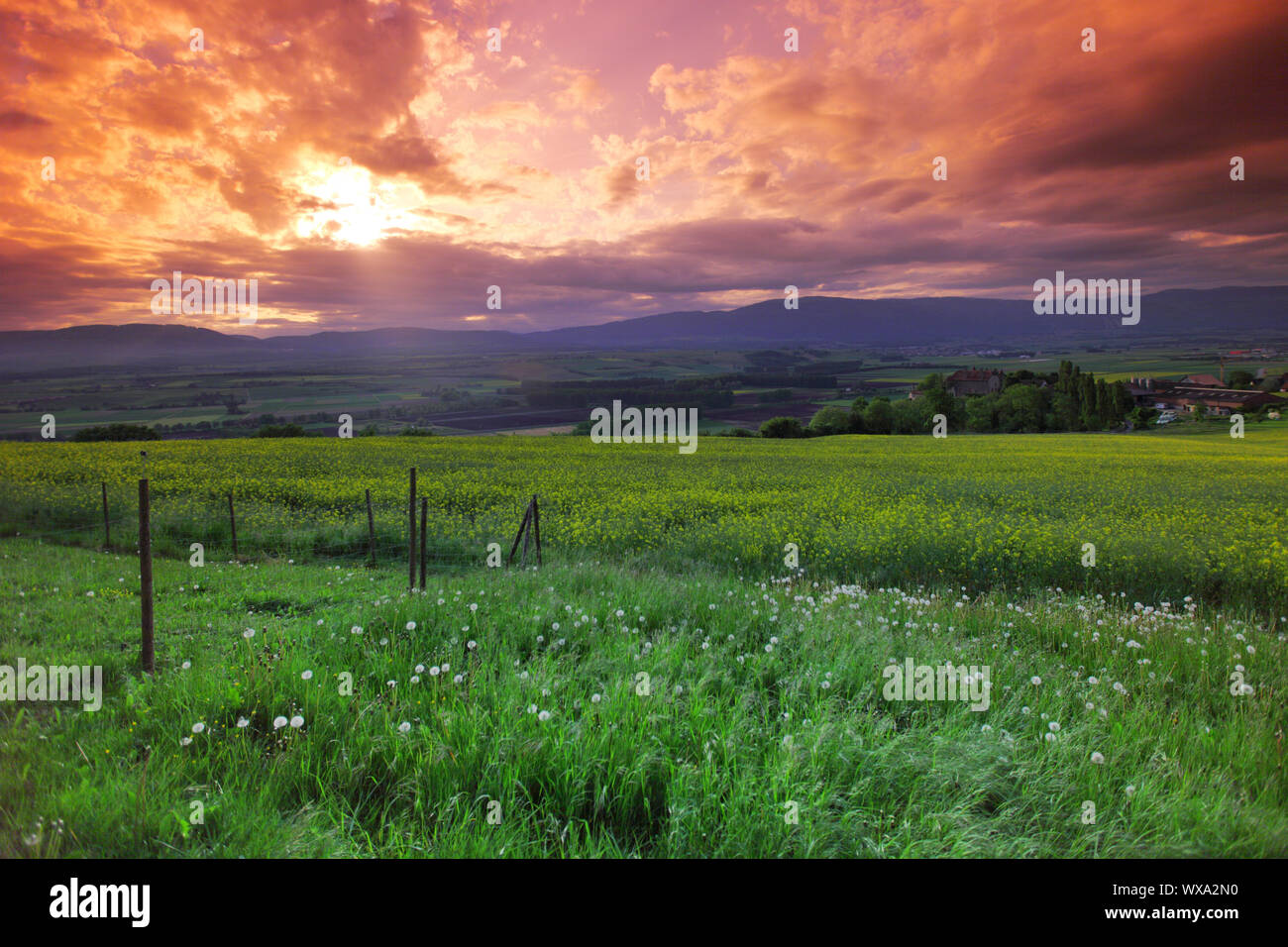 Green meadow under sunset sky with clouds Stock Photo - Alamy