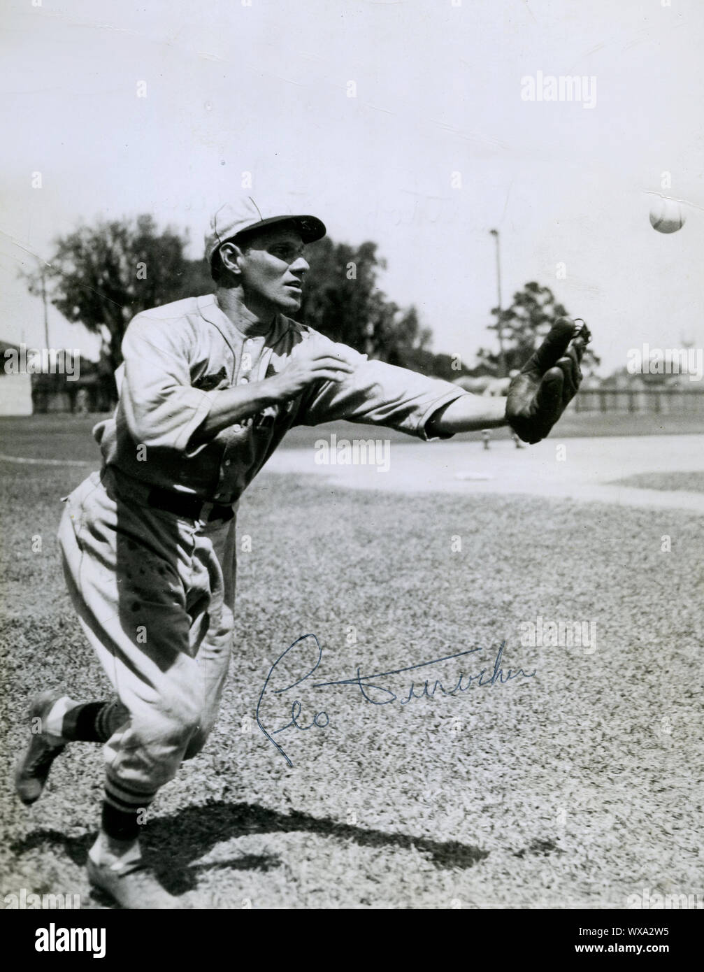 Vintage action photo of Leo Durocher as a young player at spring training with the St. Louis Cardinals in the 1930s. Stock Photo