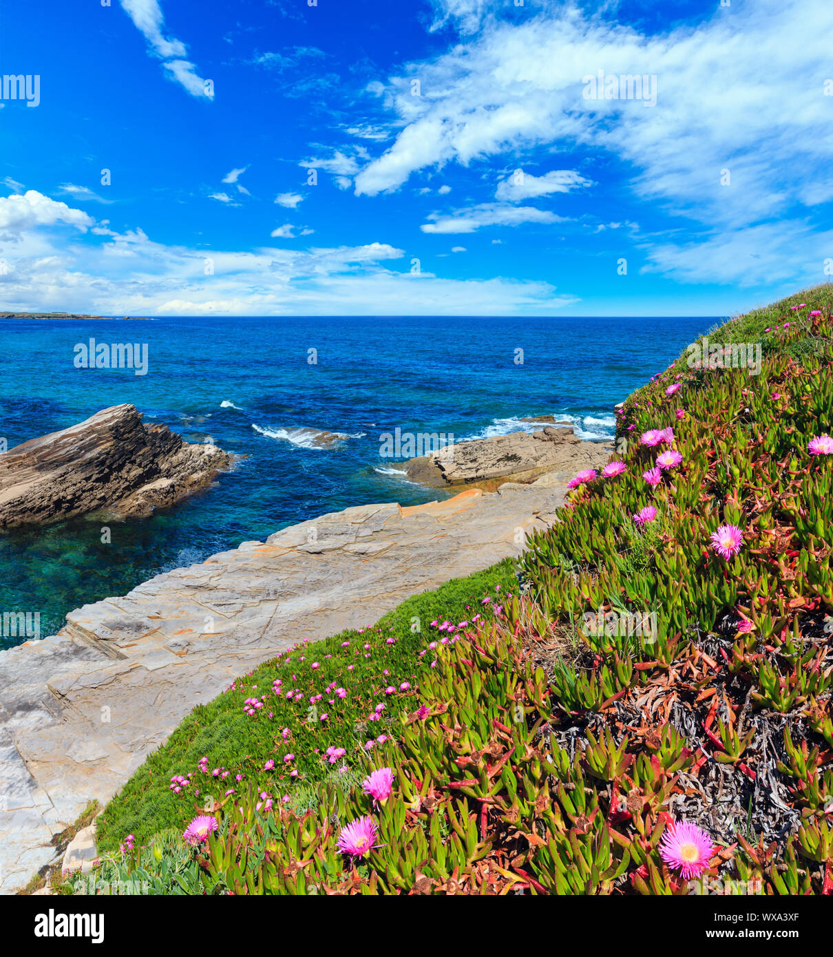 Atlantic blossoming coastline, Spain Stock Photo