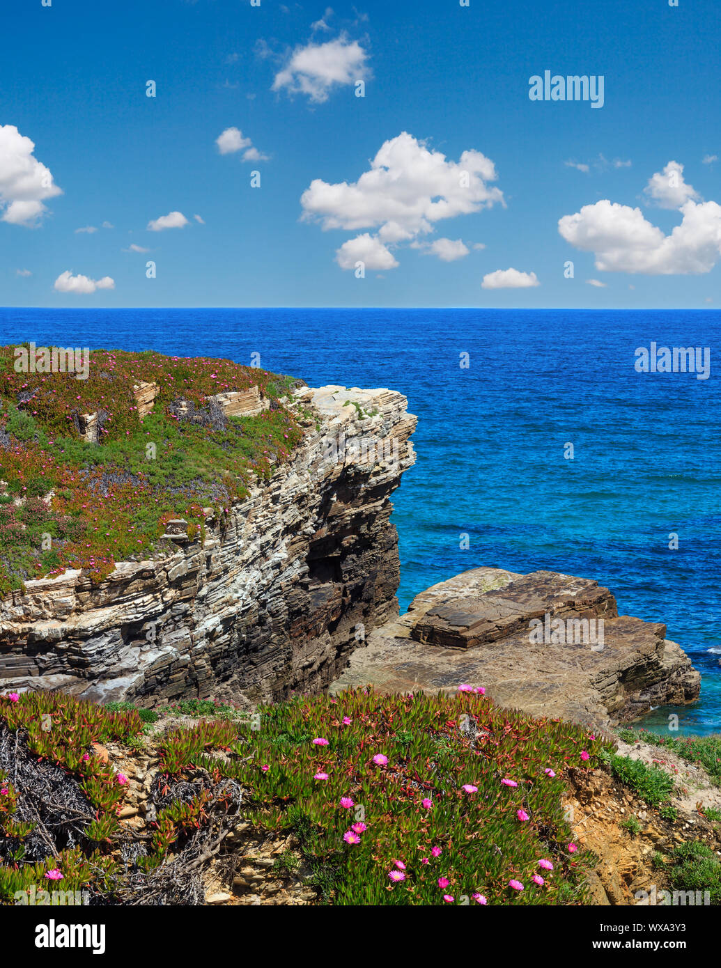 Summer blossoming Atlantic coast, Spain Stock Photo