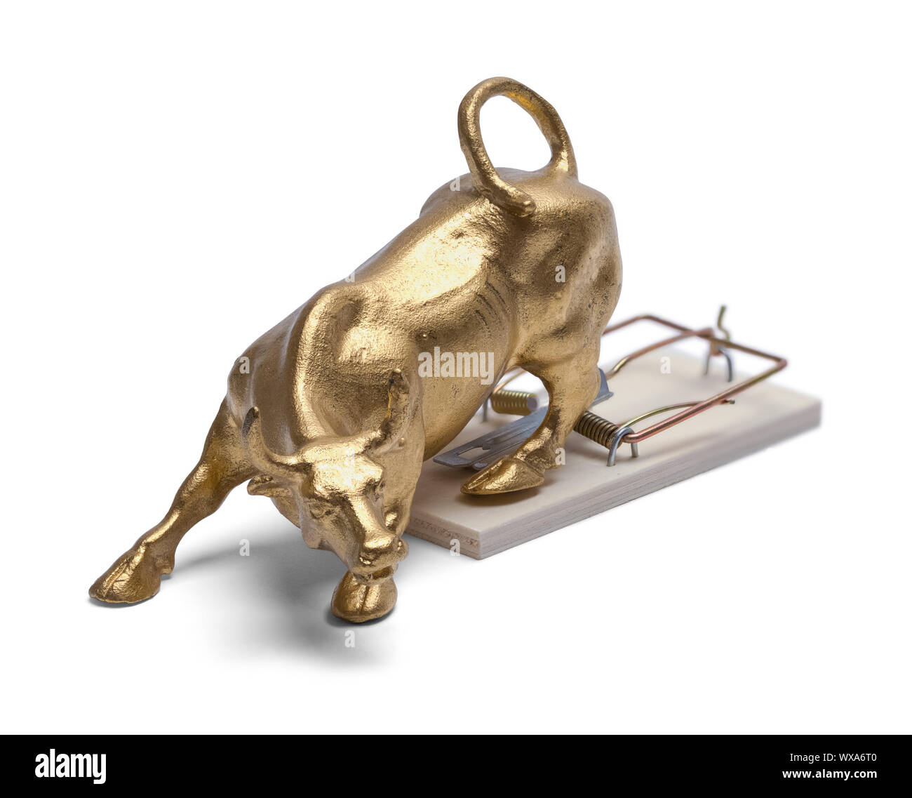 Brass Bull on Trap Isolated on White Background. Stock Photo