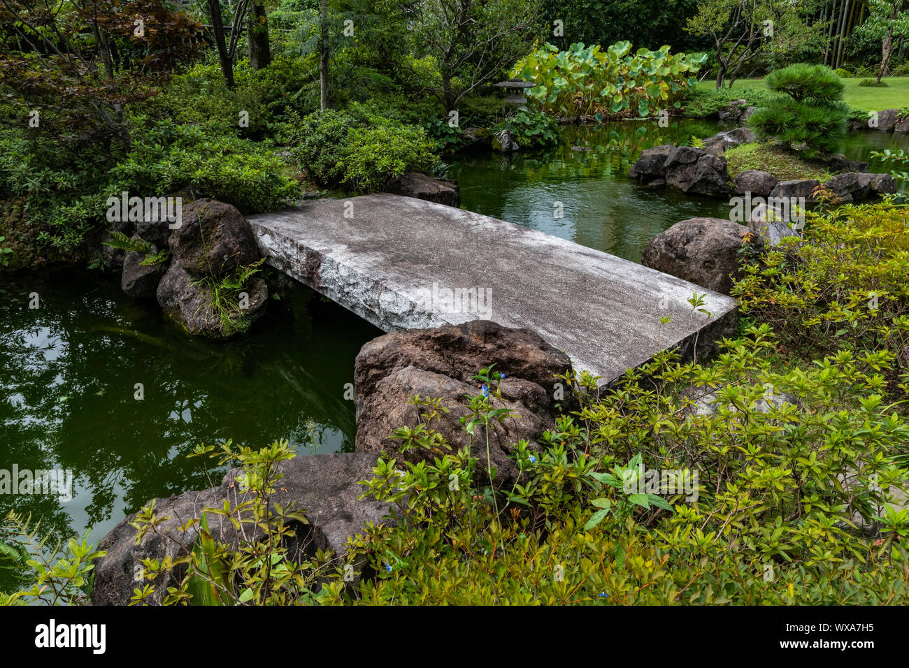 Takao Komagino Pond Garden is a public garden supported by the city of Hachioji Tokyo.  Takao Komagino  has a total of three small gardens within its Stock Photo