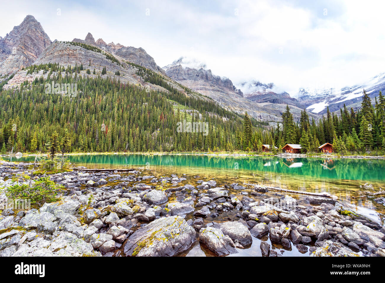 Lake O Hara As Seen From Sargent S Point In The Canadian Rockies