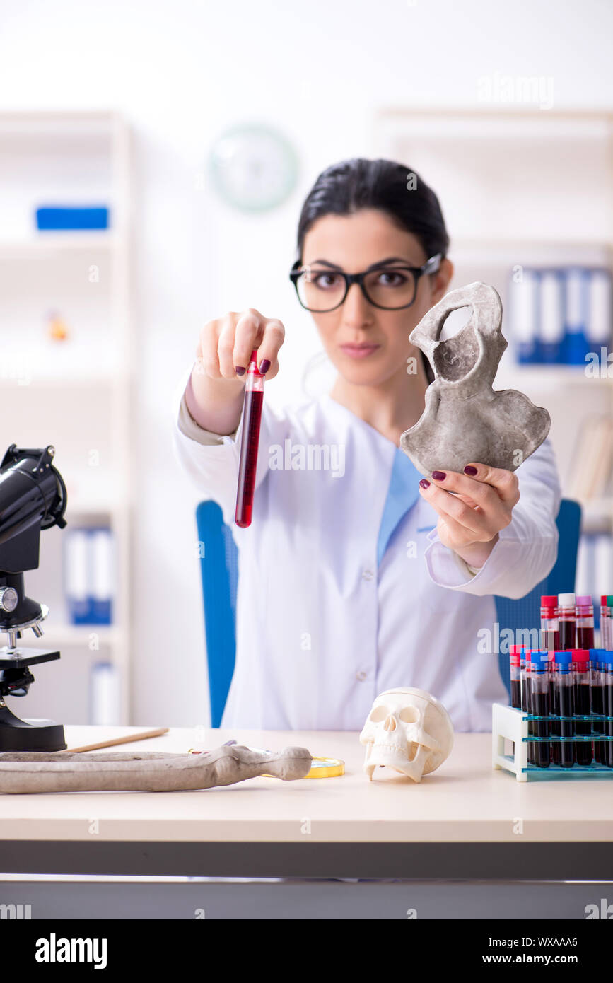 Young female archaeologist working in the lab Stock Photo Alamy