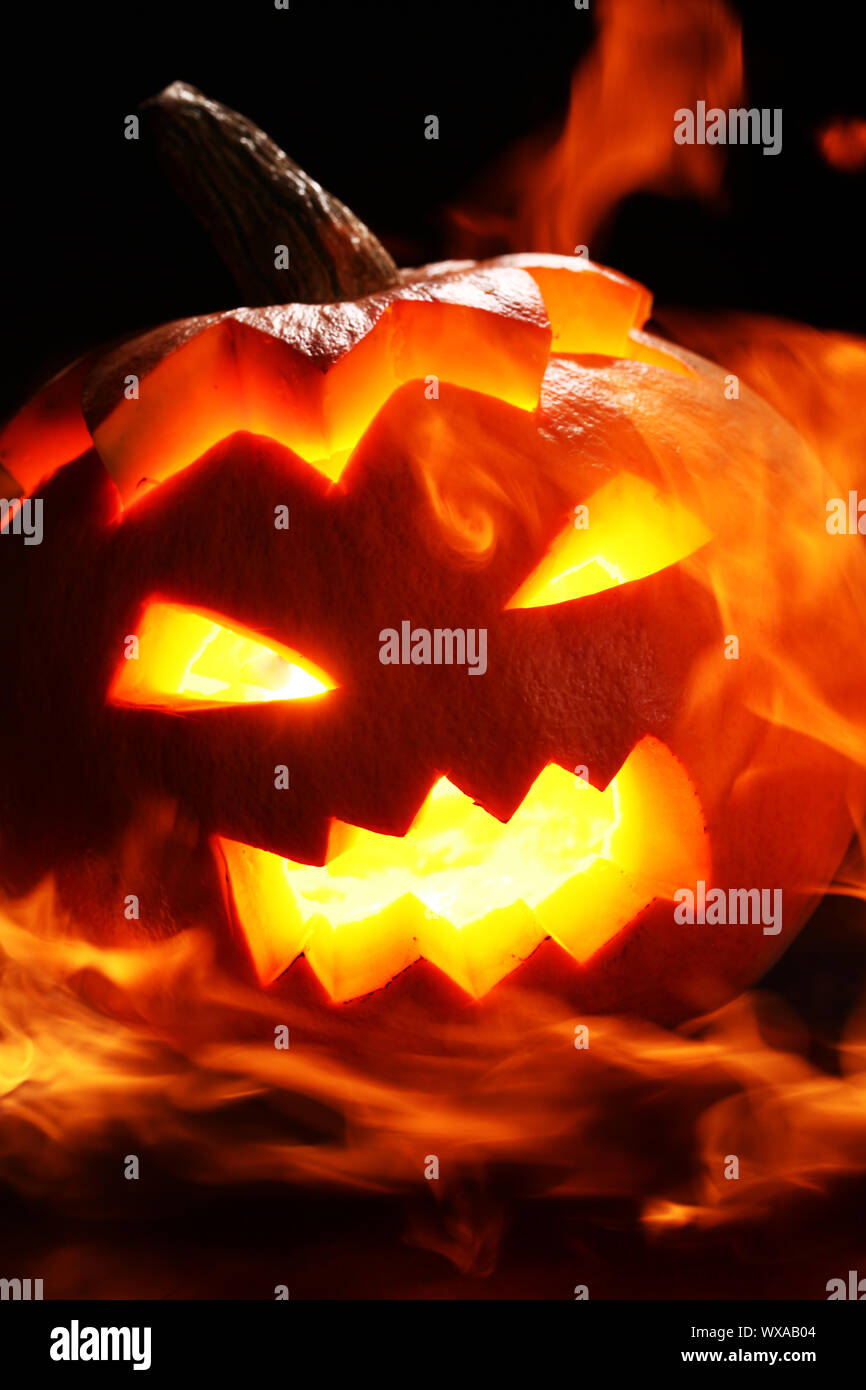 Тыквенные огни. Хэллоуинская тыква. Свеча благодарения. Тыквенные огни. Обои на рабочий стол хэллоуин.