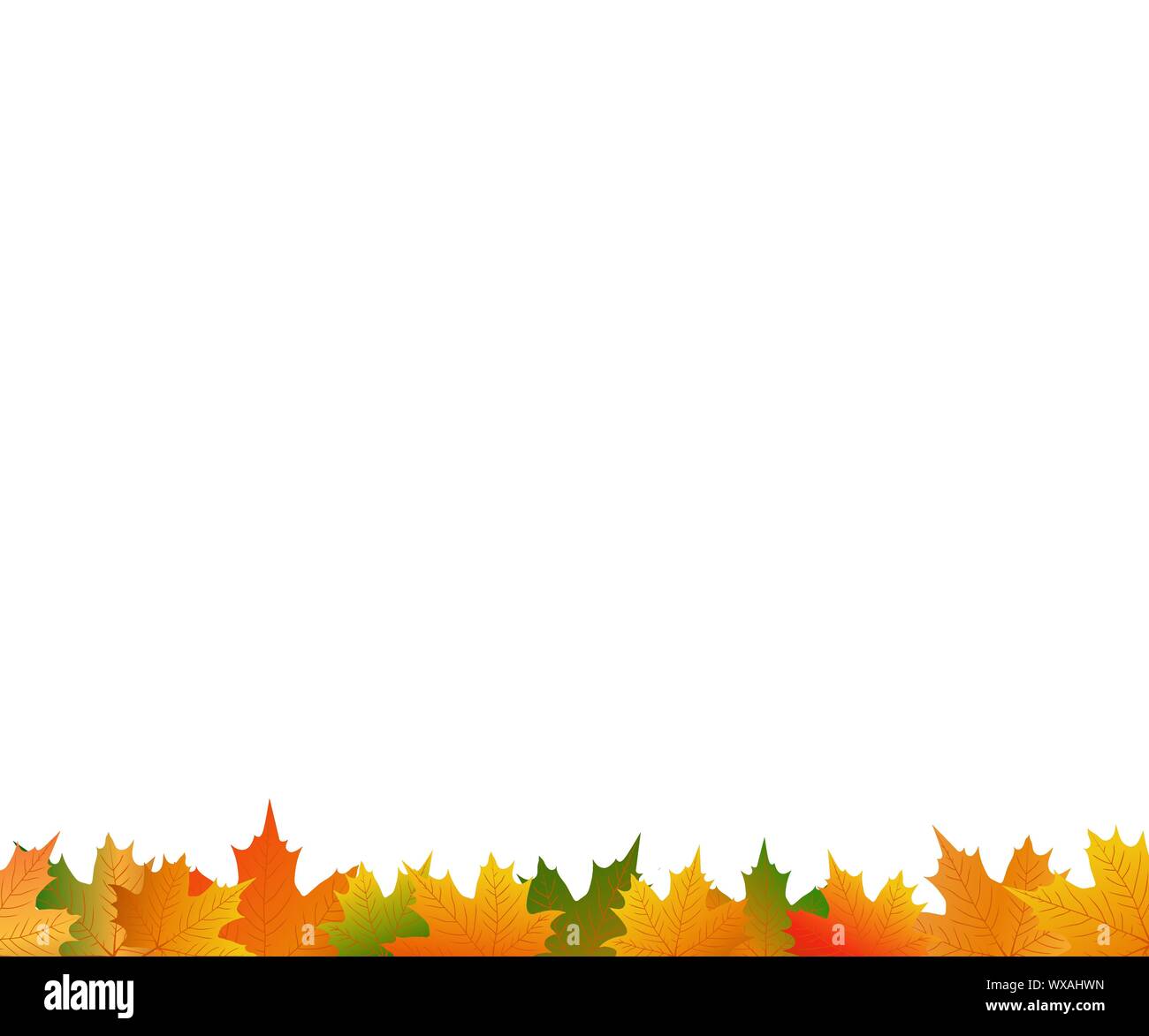 Autumn maple leaf on a white background Stock Vector Image & Art - Alamy