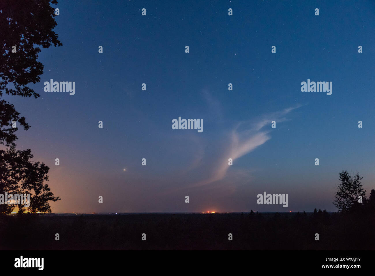 Stars in the night sky with trees in background Stock Photo - Alamy