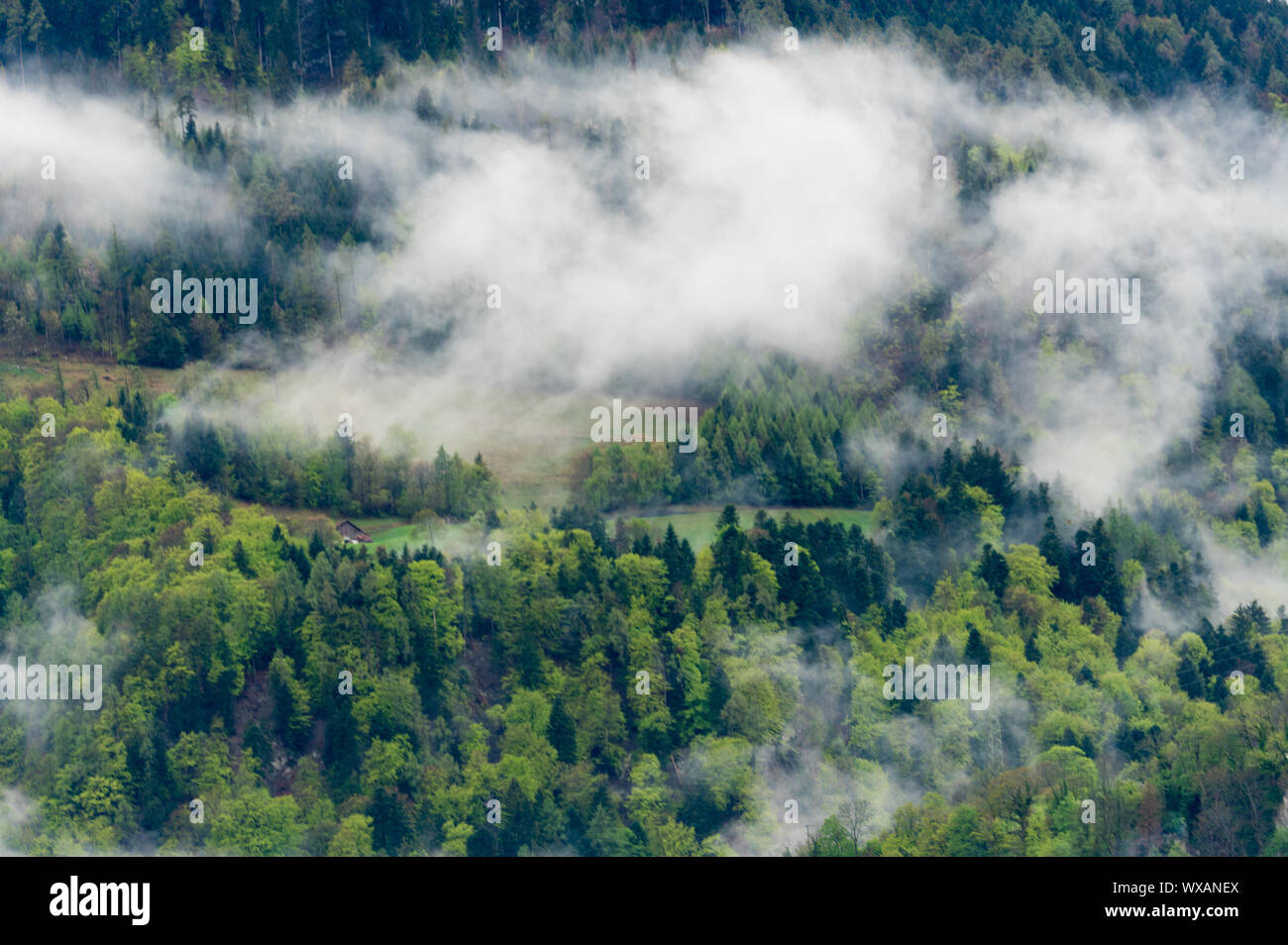 Fog over hillside hi-res stock photography and images - Alamy