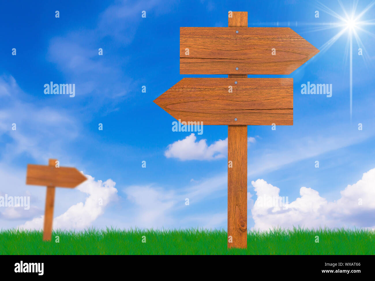 Wood sign on grass and blue sky background, summer and spring concept ...