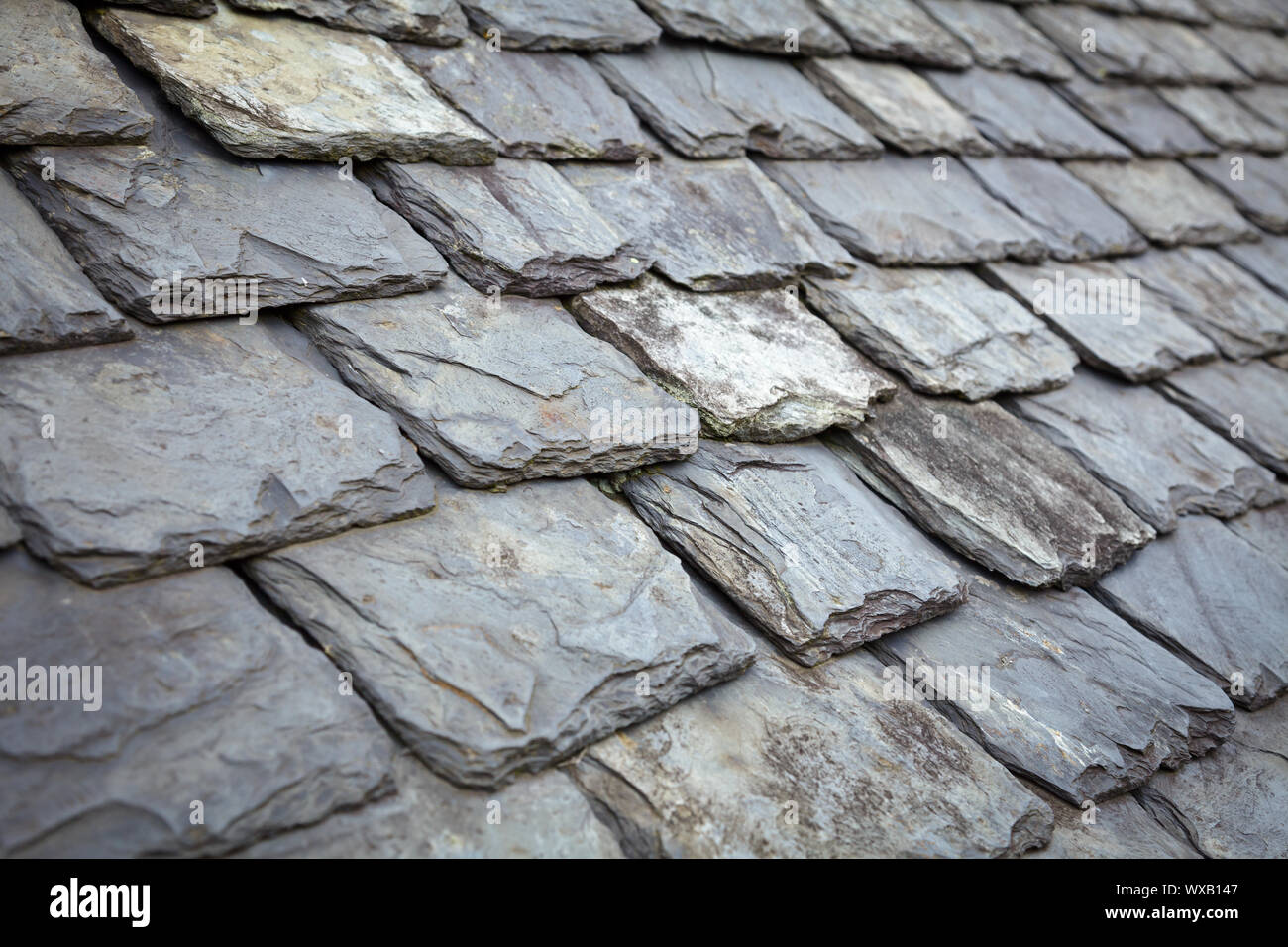 Aged slate roof tiles closeup Stock Photo Alamy