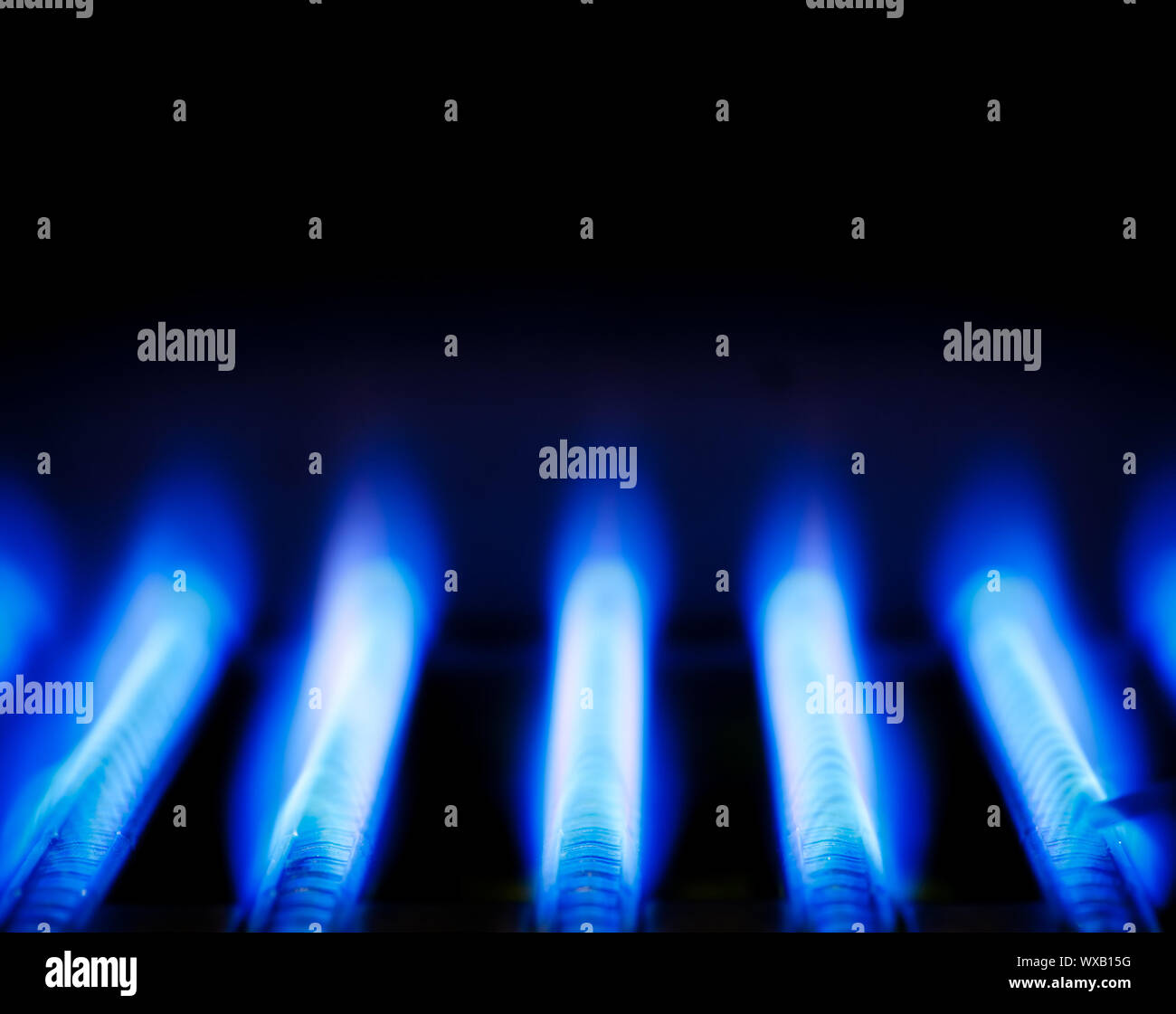 Blue flames of a gas burner inside of a boiler Stock Photo Alamy