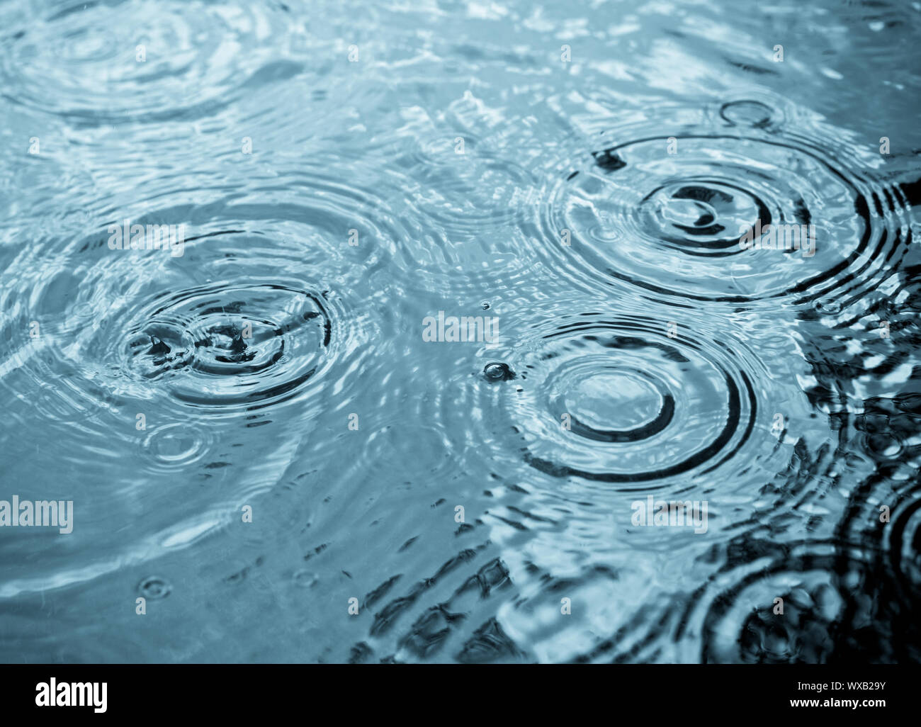 Rain drops rippling in a puddle with blue sky reflection Stock Photo ...
