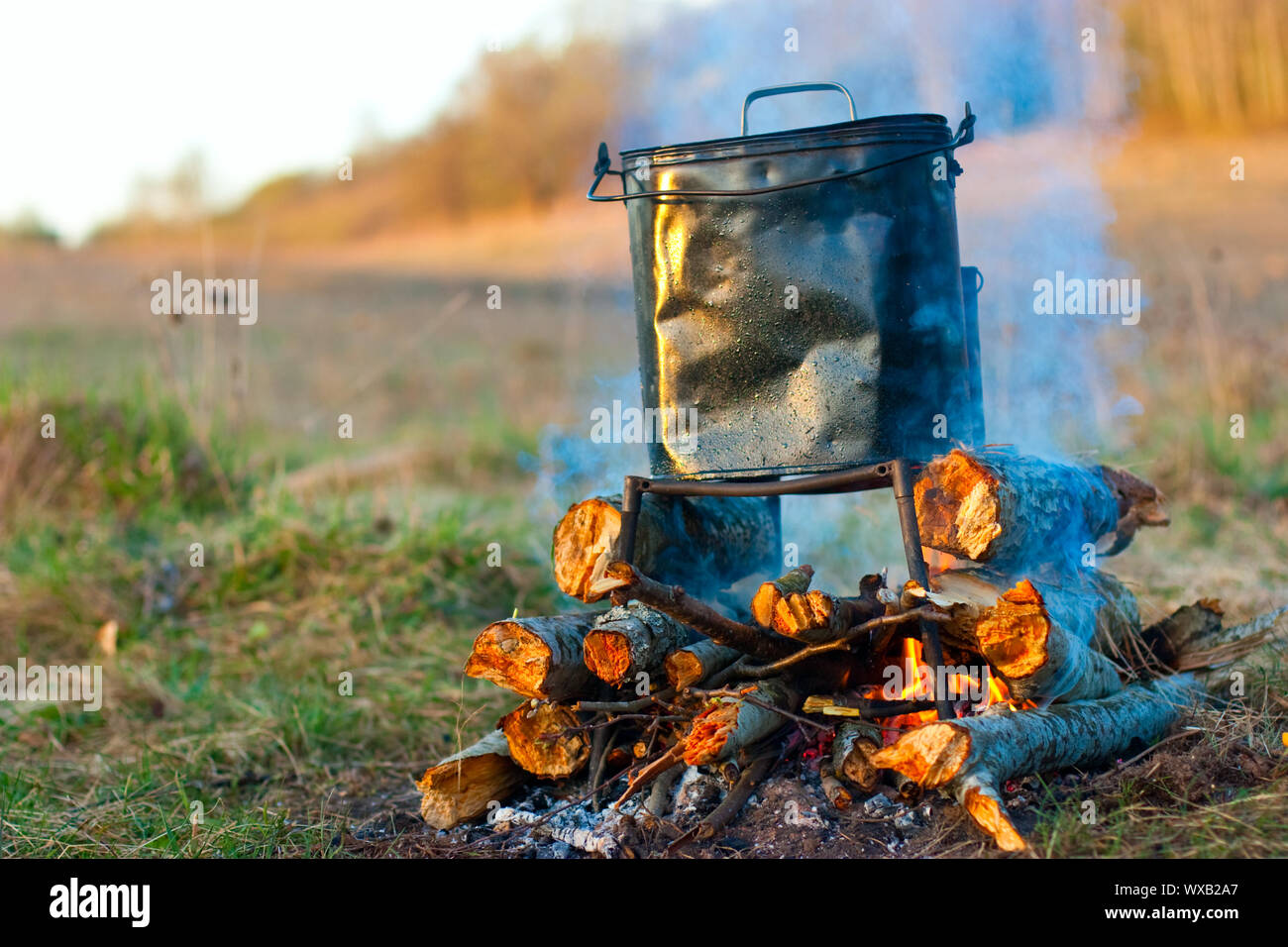 Camping kettle over burning campfire in the morning light Stock Photo ...