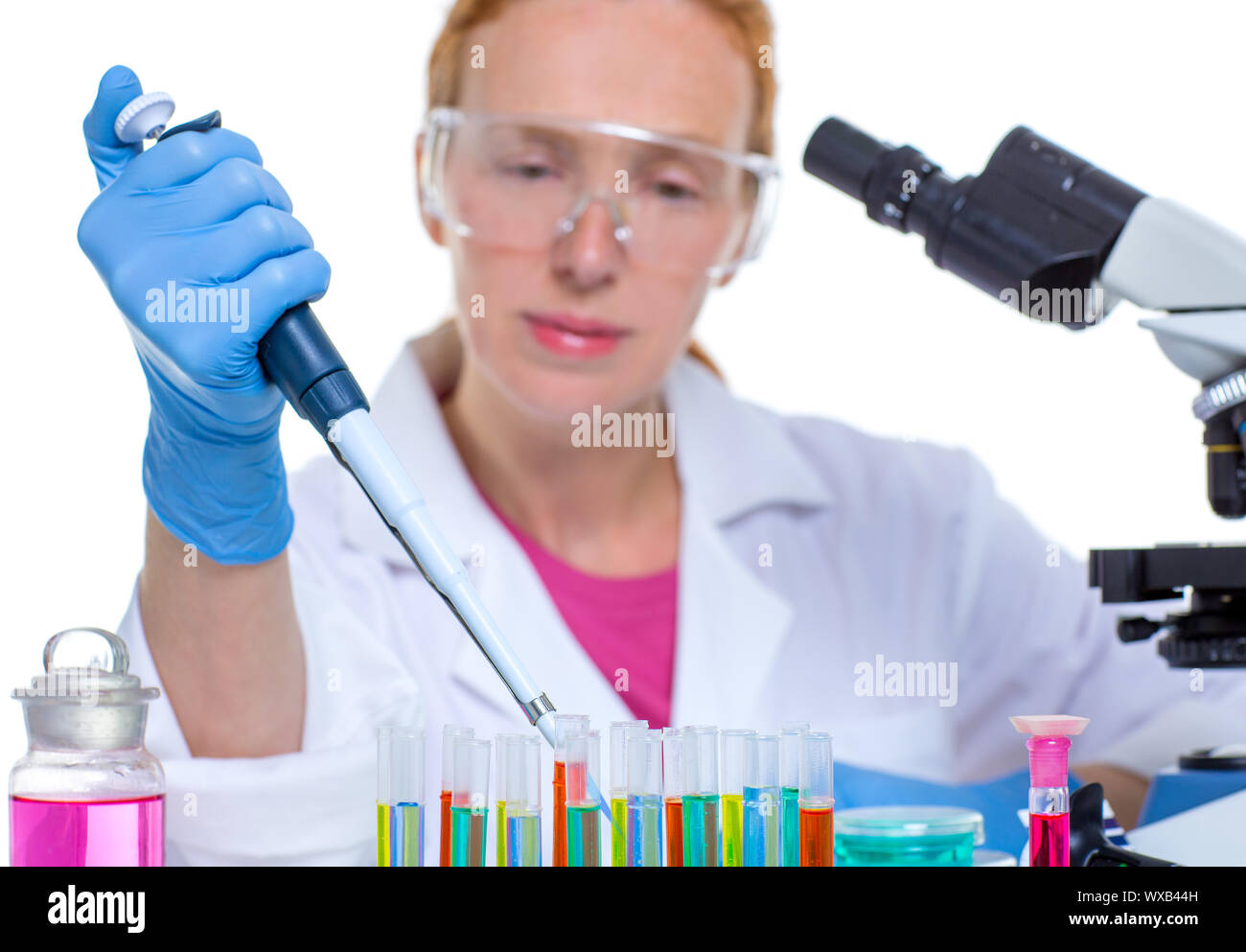 chemical laboratory scientist woman working with pipette and test tubes ...